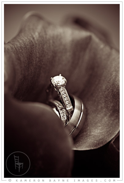 Kameron Bayne Images - Diamond Ring inside Rose Pedals Kameron Bayne Images - Diamond Ring inside Rose Pedals