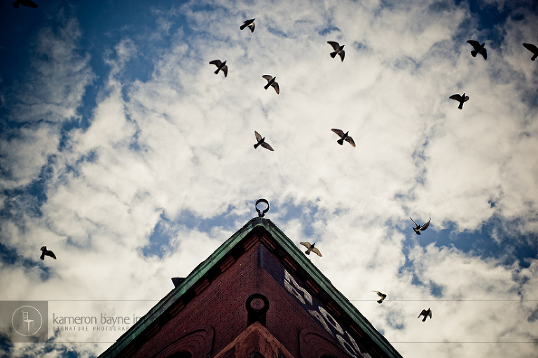 Birds flying in the sky just above the Spaghetti Works building in the Old Market, downtown Omaha, Nebraska