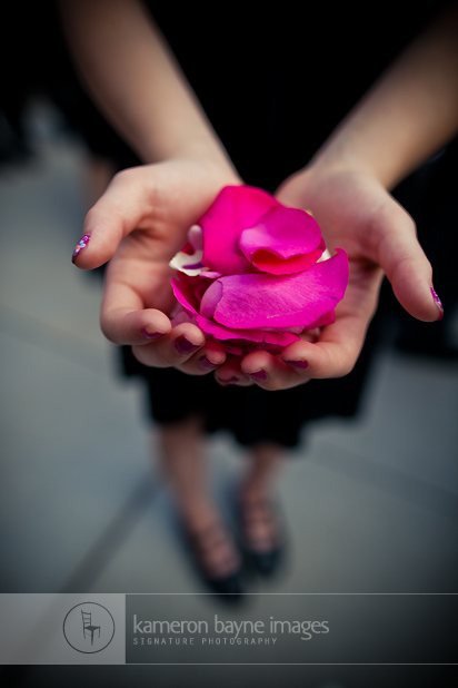 Handfuls of Wedding Flower Pedals