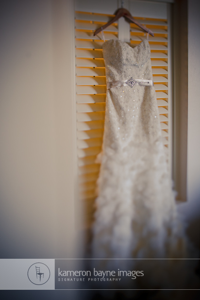 The Dress