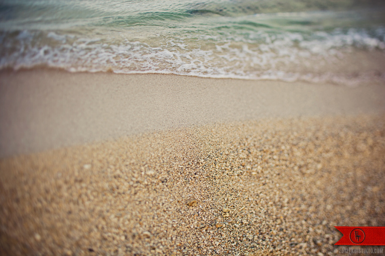 You might see something like this walking along the beach, the waves gently washes up against your feed, toes pressed into the sand.