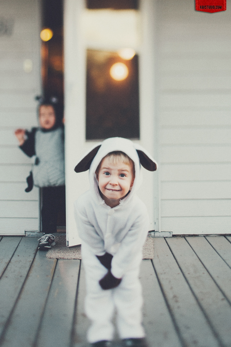 Happy Halloween! Homemade sheep and spider costumes for boys aged 3.
